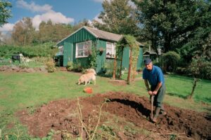 A person leans on a spade while turning over earth in a small strip in front of a small green chalet. A dog is walking on the grass sniffing at something on the lawn.
