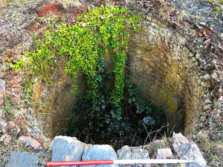 Looking down into the inside of a circular stone kiln. It is in a ruinous state and plants are growing inside and out.