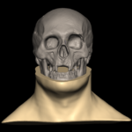 A screengrab from the digital reconstruction showing Bruce's neck being added