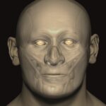 A screengrab from the digital reconstruction showing facial features beginning to be added