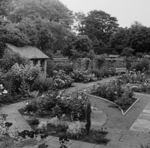 Photograph of the gardens at the House on the Shore. You can see a path, with flowers and bushes around it. There are trees in the background and a small shed like building to the left.