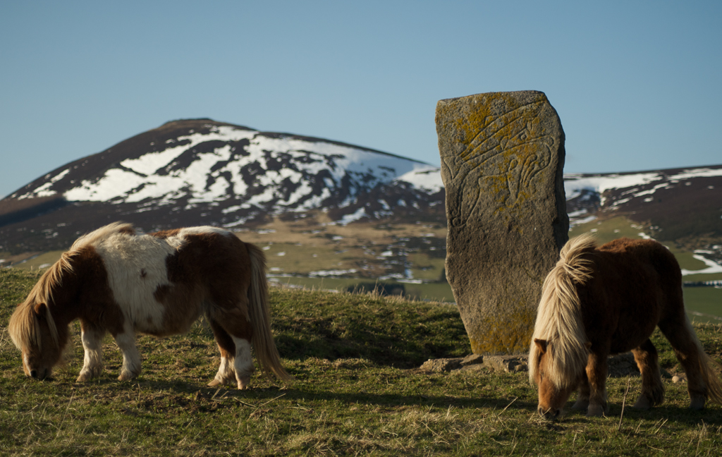 carved stone with snowy mountain behind and two shetland ponies munching grass in front