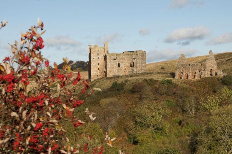 A castle sits on a hill, there is a plant with red fruit to the left of the photo.