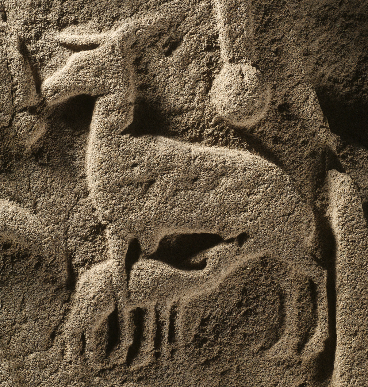 carved deer and faun on a Pictish stone