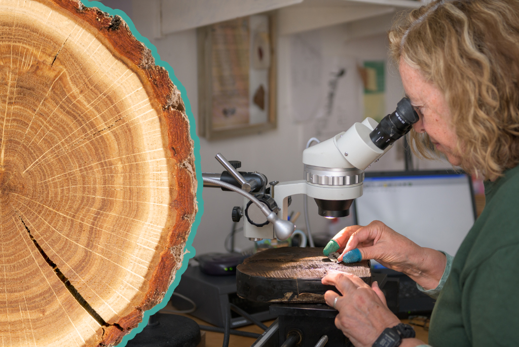 A person sits at a workbench examining an object under a mounted microscope. The workspace is filled with tools, equipment, and papers, with shelves and a computer monitor in the background. The person uses small hand tools while closely inspecting the object positioned beneath the microscope’s lens.