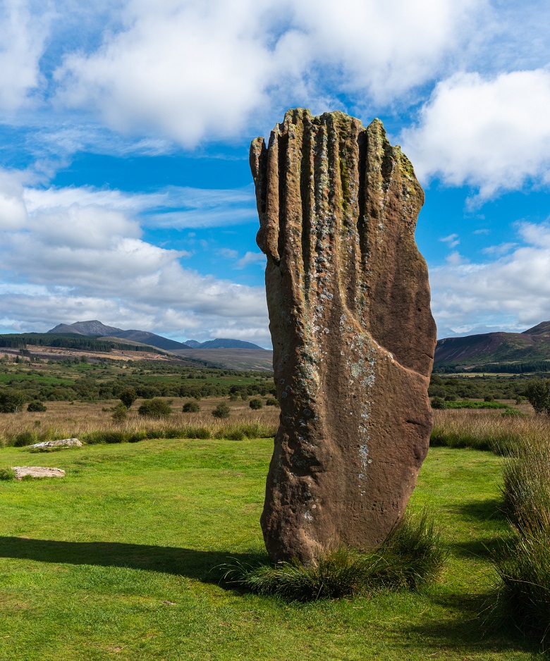 Close-up view of a single standing stone at Machrie Moor. Moorland, scattered trees and distant hills stretch across the background.