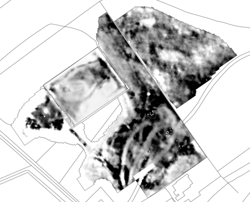 Black and white geophysical survey.