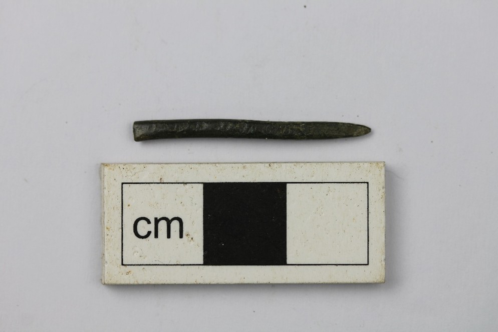 Excavated pin against a white background and measurement.