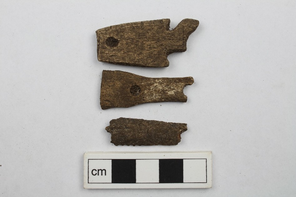 Excavated bone fragments laid out on a white surface.