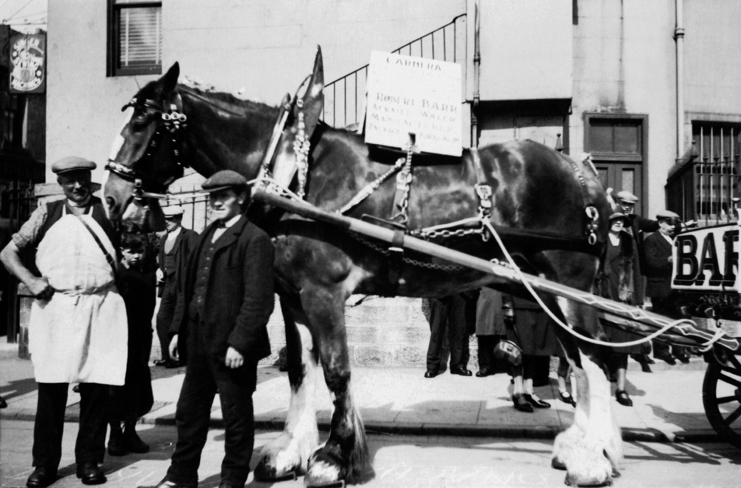 Black-and-white photograph of a large Clydesdale horse harnessed to a cart, standing on a city street beside several people. A sign mounted on the horse advertises Barr's aerated water manufacturers.