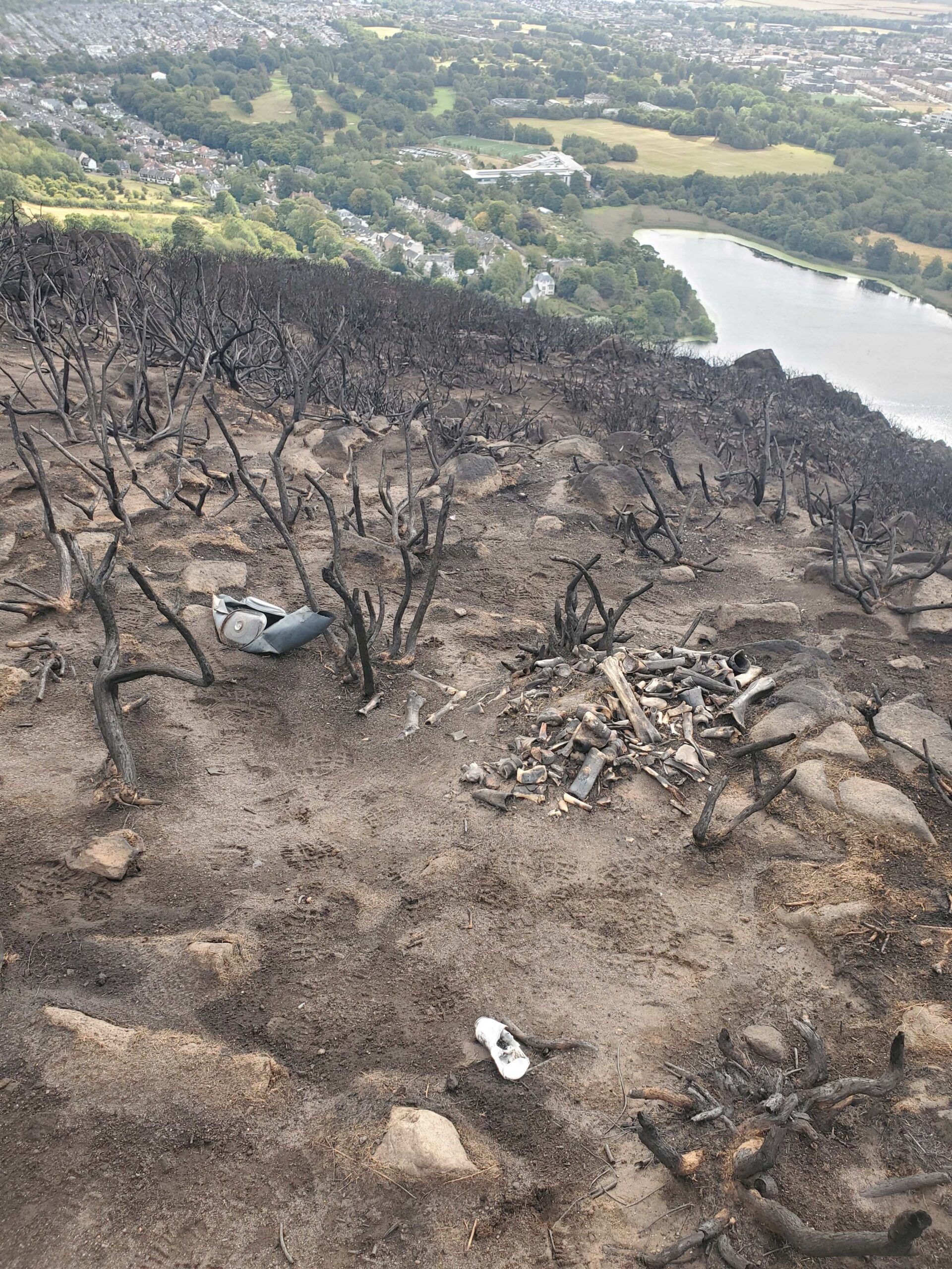 View of bones on fire-damaged ground with view across to landscape and city in the distance.