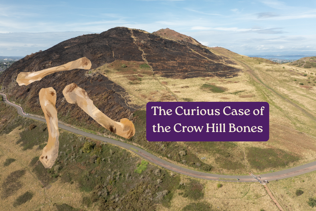 View of Holyrood Park with drawing of bones and text that reads: "The Curious Case of the Crow Hill Bones"