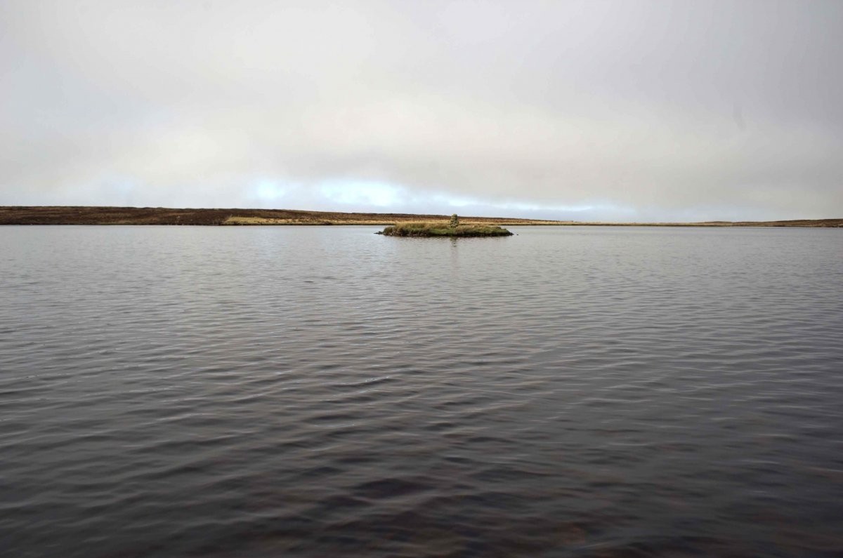 View across a loch towards a small crannog island, with a line of partially submerged stones extending from the shoreline towards the island.